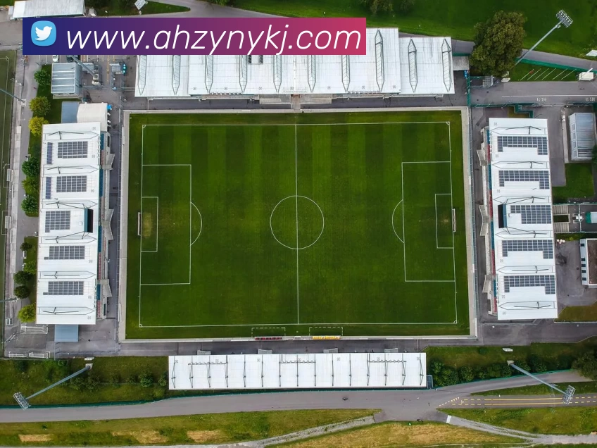 星空体育平台生态图